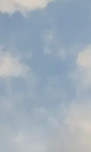 Annelies 05 Vogeltrek